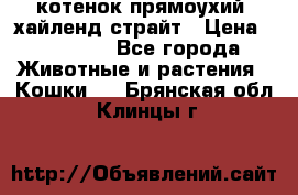 котенок прямоухий  хайленд страйт › Цена ­ 10 000 - Все города Животные и растения » Кошки   . Брянская обл.,Клинцы г.